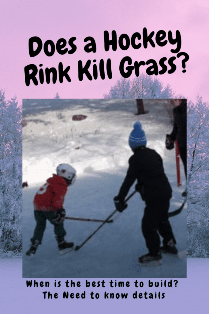 Will a Backyard Ice Rink Kill my Grass Outdoor Space Accents
