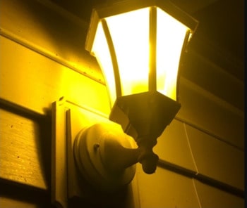 Yellow bulb in porch light